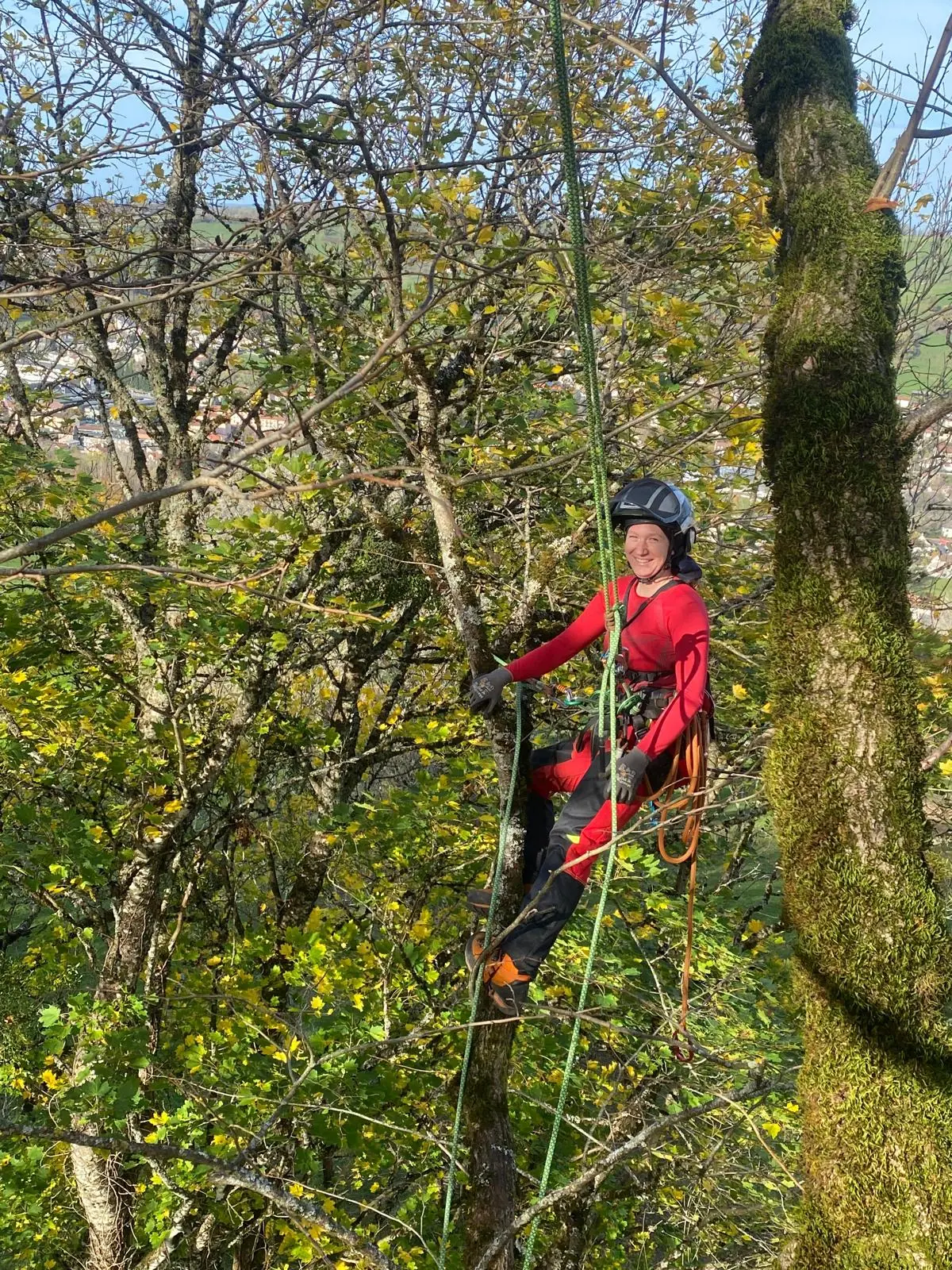 Élagueuse souriante en tenue rouge, casquée, montant à la corde au milieu de feuillages d’automne