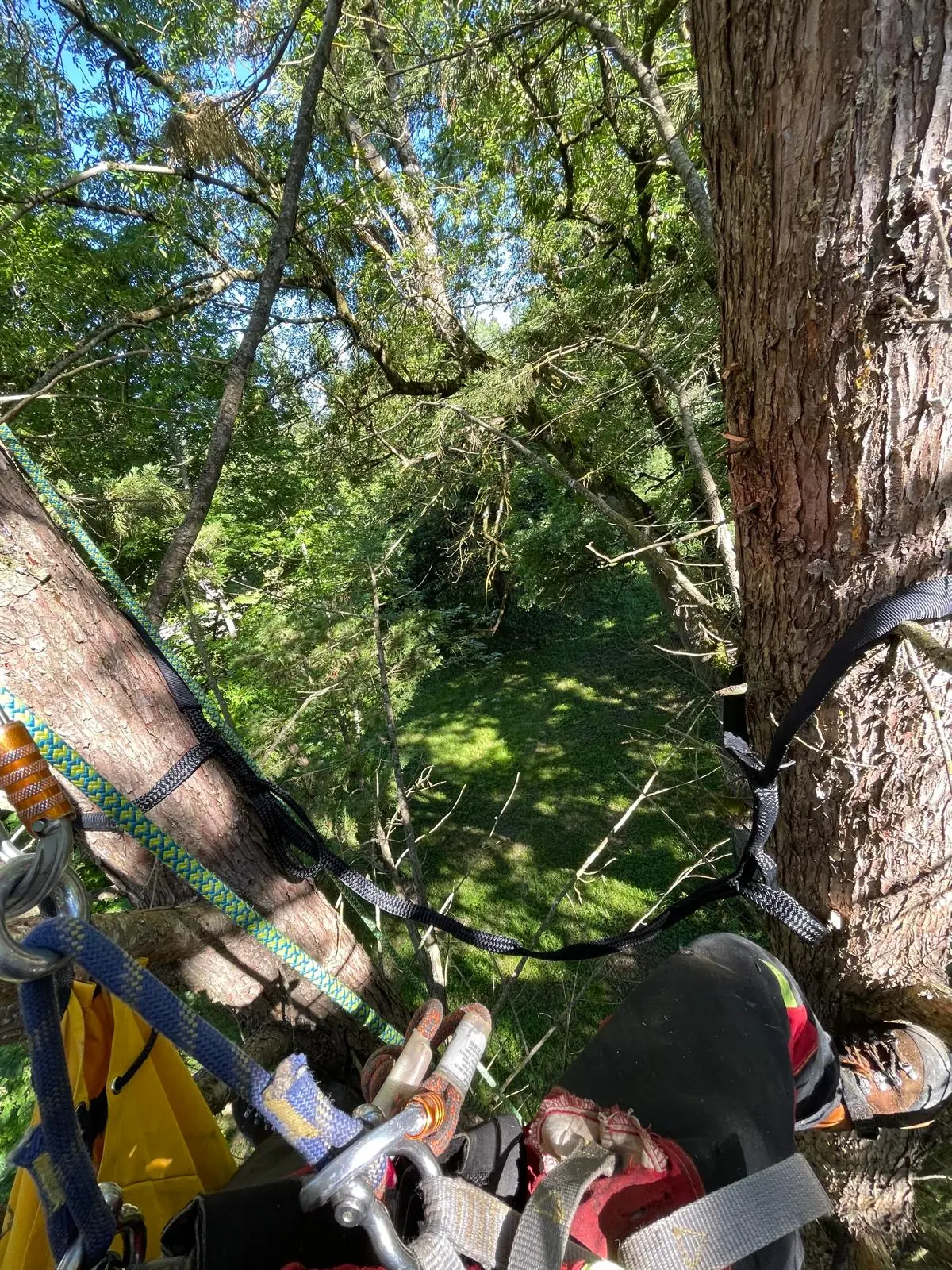 Vue plongeante depuis le harnais : longe passée autour du tronc, mousquetons, pied de l’élagueuse